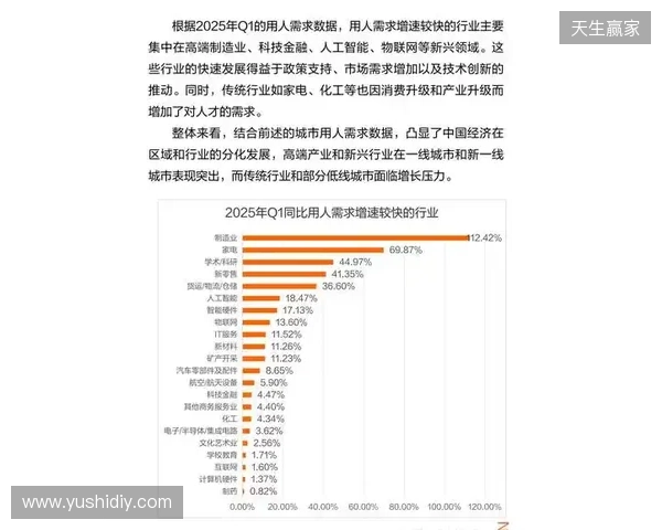 2025年12月虚拟局域网游戏联机方案综合评估报告